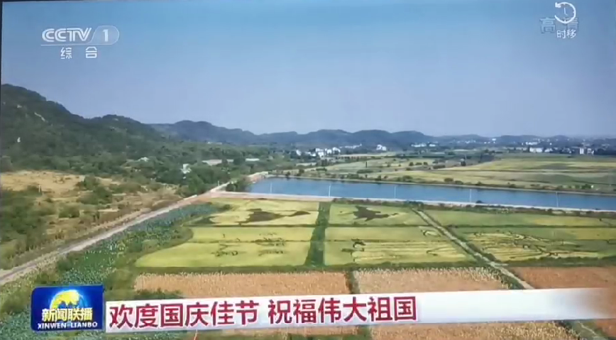 上央视-顺盈娱乐五彩稻田画，助力乡村振兴